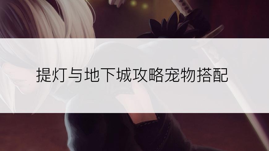 提灯与地下城攻略宠物搭配
