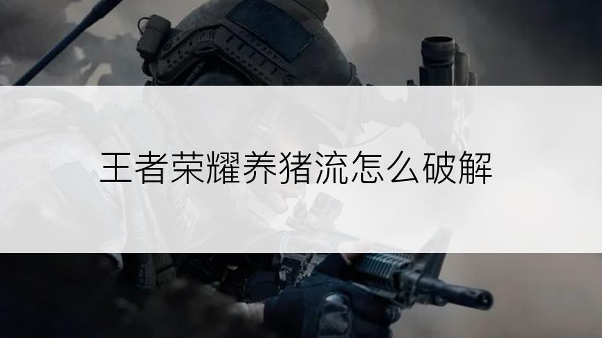 王者荣耀养猪流怎么破解
