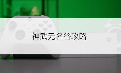 神武无名谷攻略