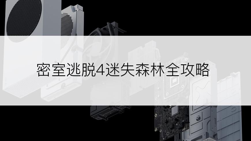 密室逃脱4迷失森林全攻略