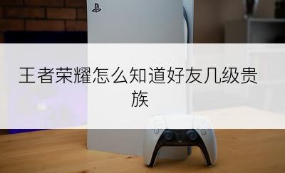 王者荣耀怎么知道好友几级贵族