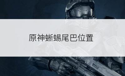 原神蜥蜴尾巴位置