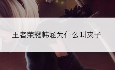 王者荣耀韩涵为什么叫夹子
