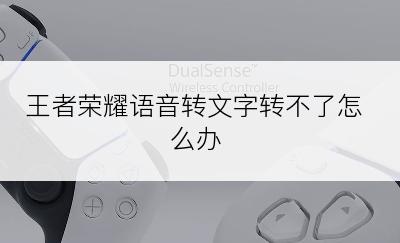 王者荣耀语音转文字转不了怎么办