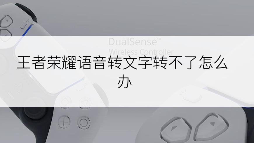 王者荣耀语音转文字转不了怎么办