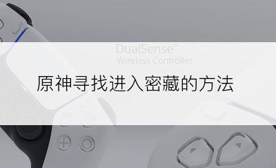 原神寻找进入密藏的方法