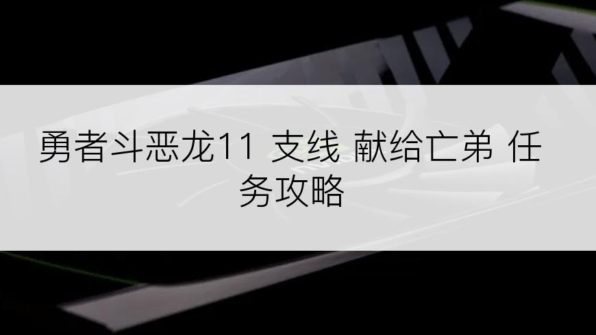 勇者斗恶龙11 支线 献给亡弟 任务攻略