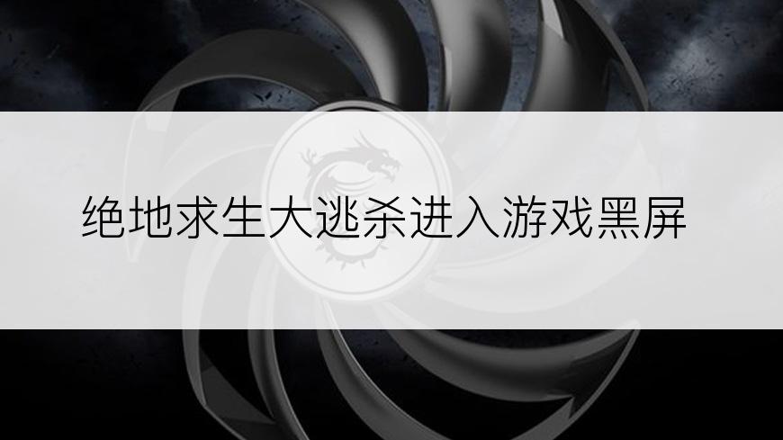 绝地求生大逃杀进入游戏黑屏