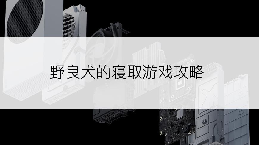 野良犬的寝取游戏攻略