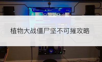 植物大战僵尸坚不可摧攻略