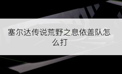 塞尔达传说荒野之息依盖队怎么打