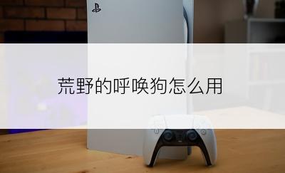 荒野的呼唤狗怎么用