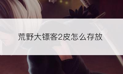 荒野大镖客2皮怎么存放
