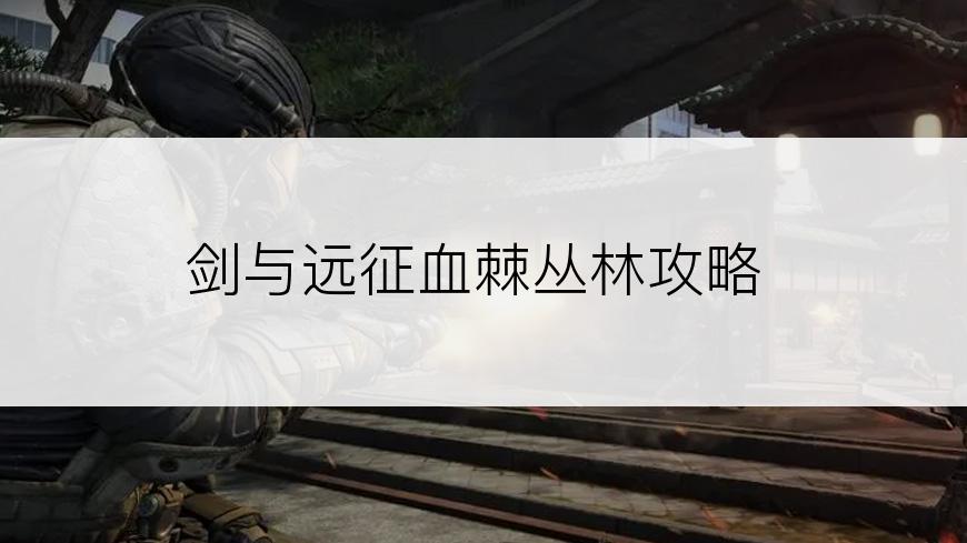 剑与远征血棘丛林攻略