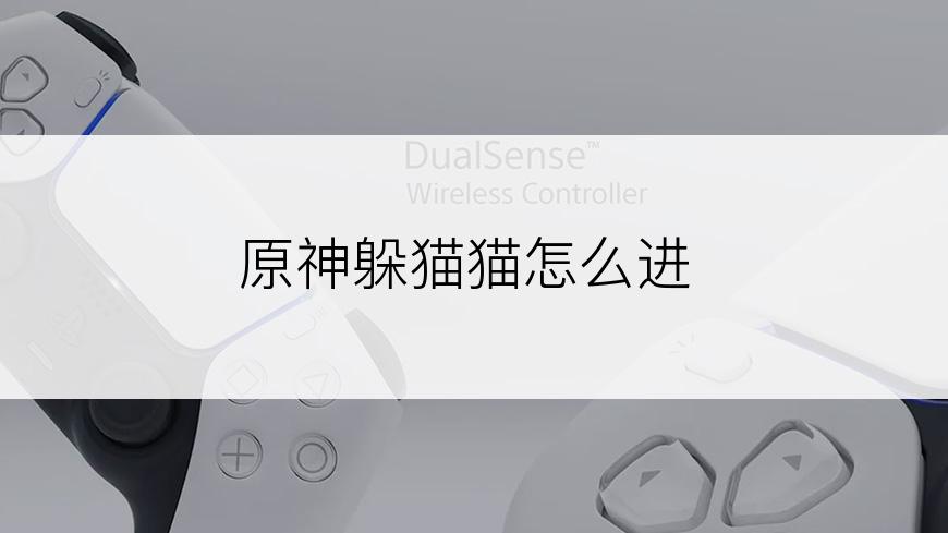 原神躲猫猫怎么进