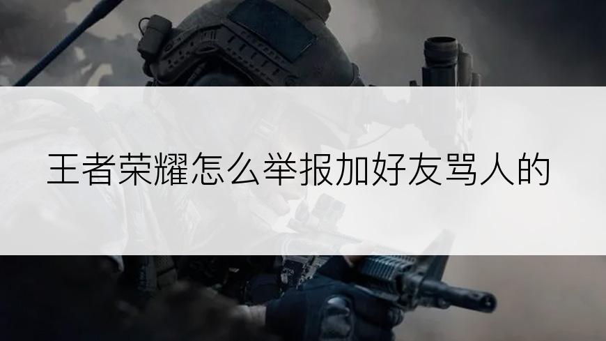王者荣耀怎么举报加好友骂人的