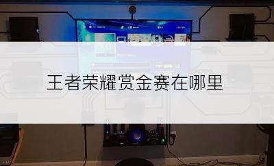 王者荣耀赏金赛在哪里