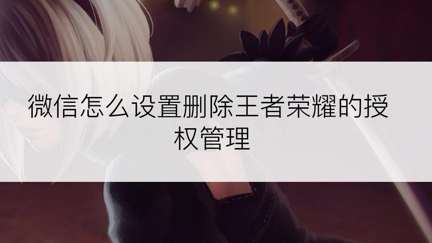 微信怎么设置删除王者荣耀的授权管理