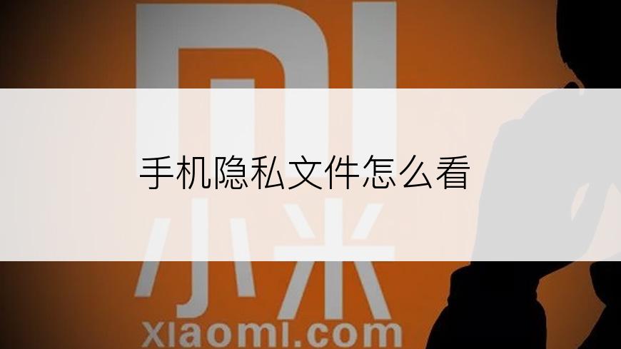 手机隐私文件怎么看