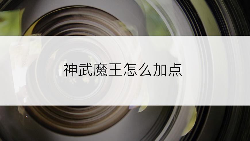 神武魔王怎么加点
