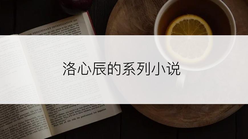 洛心辰的系列小说