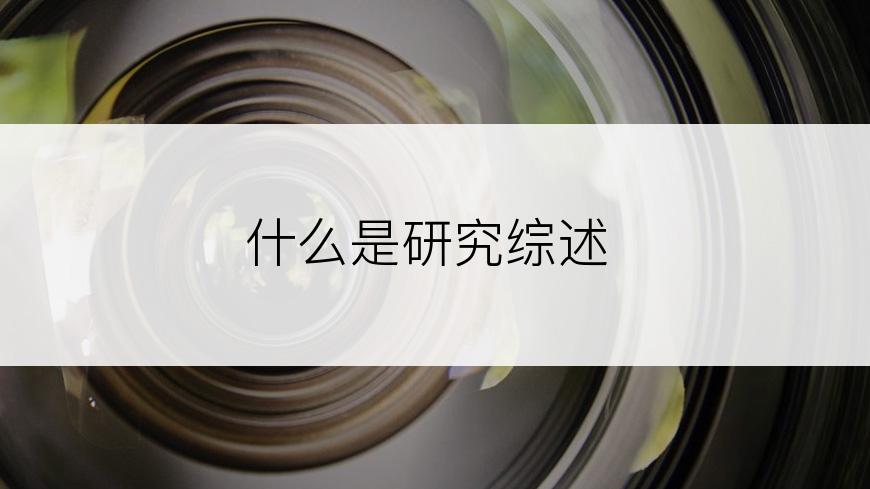 什么是研究综述