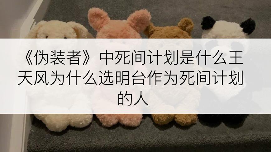 《伪装者》中死间计划是什么王天风为什么选明台作为死间计划的人