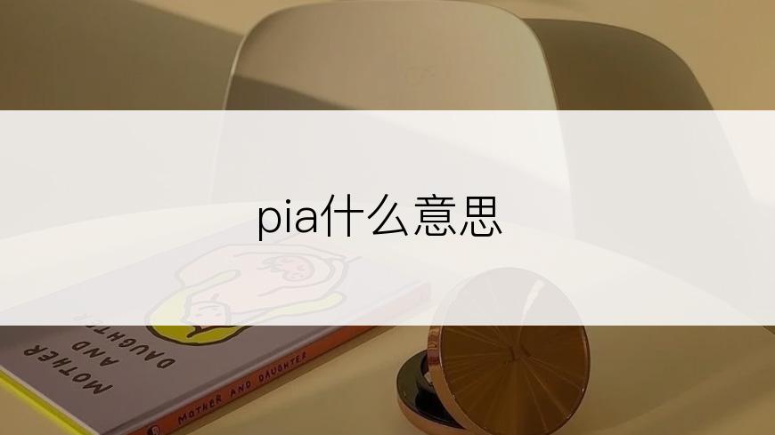pia什么意思
