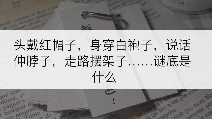 头戴红帽子，身穿白袍子，说话伸脖子，走路摆架子……谜底是什么