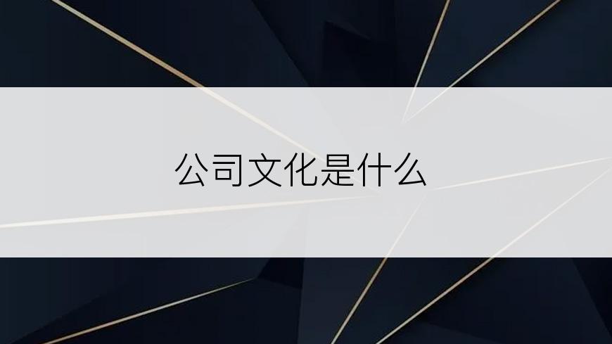 公司文化是什么