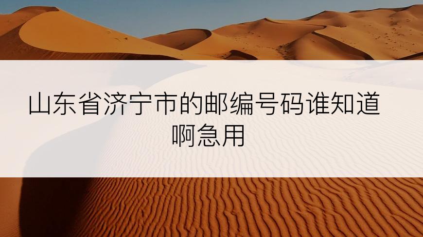 山东省济宁市的邮编号码谁知道啊急用