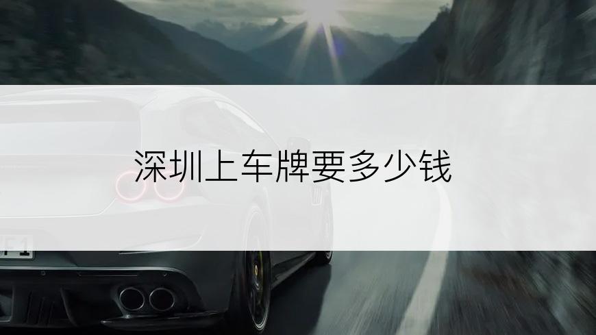 深圳上车牌要多少钱