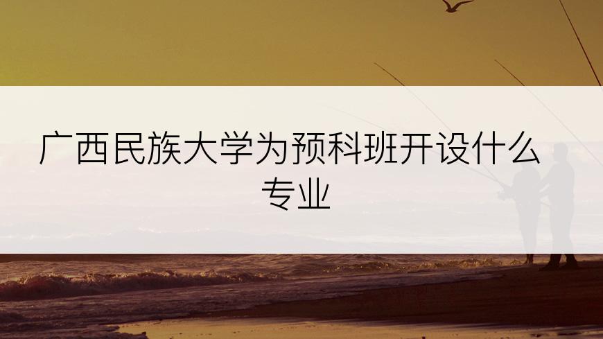 广西民族大学为预科班开设什么专业