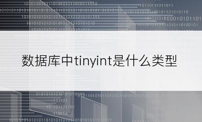 数据库中tinyint是什么类型