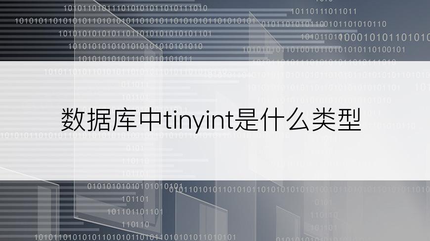 数据库中tinyint是什么类型