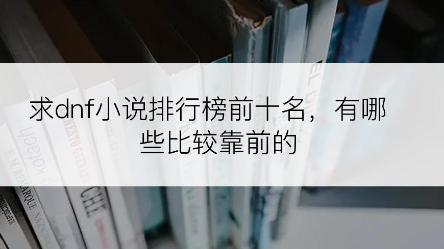 求dnf小说排行榜前十名，有哪些比较靠前的