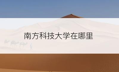 南方科技大学在哪里