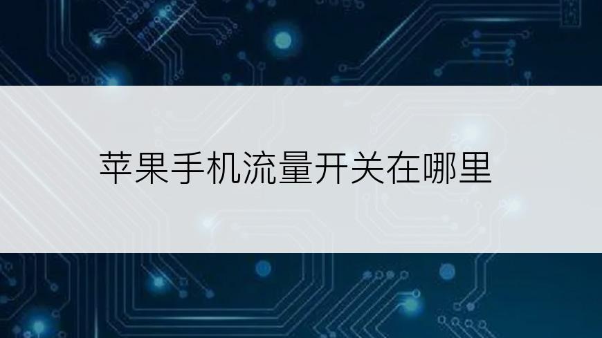 苹果手机流量开关在哪里