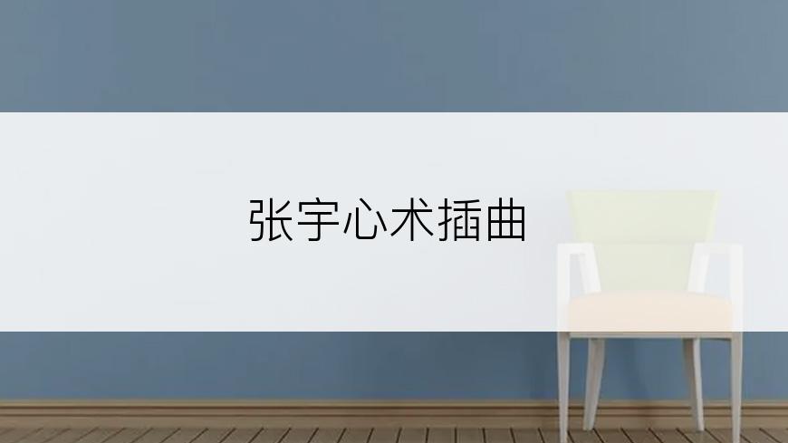 张宇心术插曲