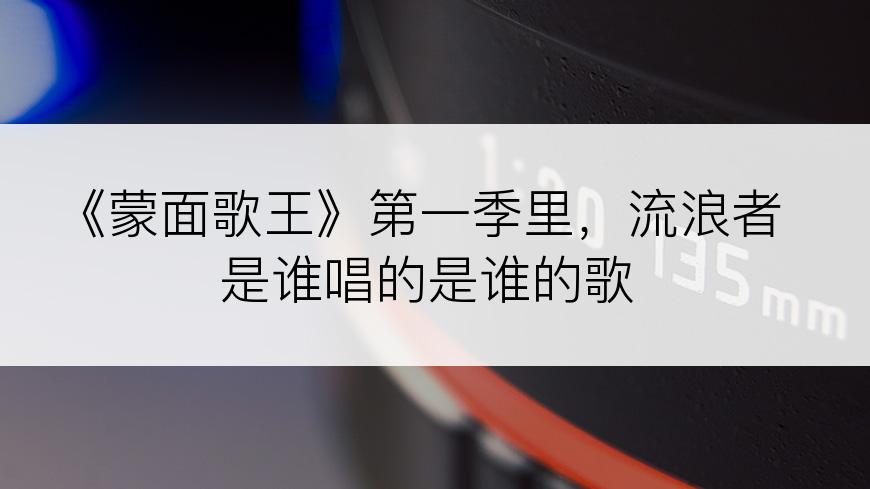 《蒙面歌王》第一季里，流浪者是谁唱的是谁的歌