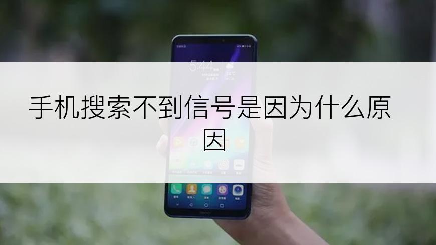 手机搜索不到信号是因为什么原因