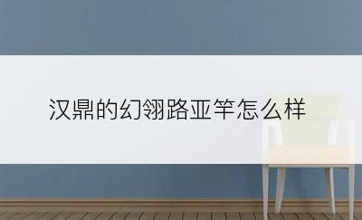 汉鼎的幻翎路亚竿怎么样