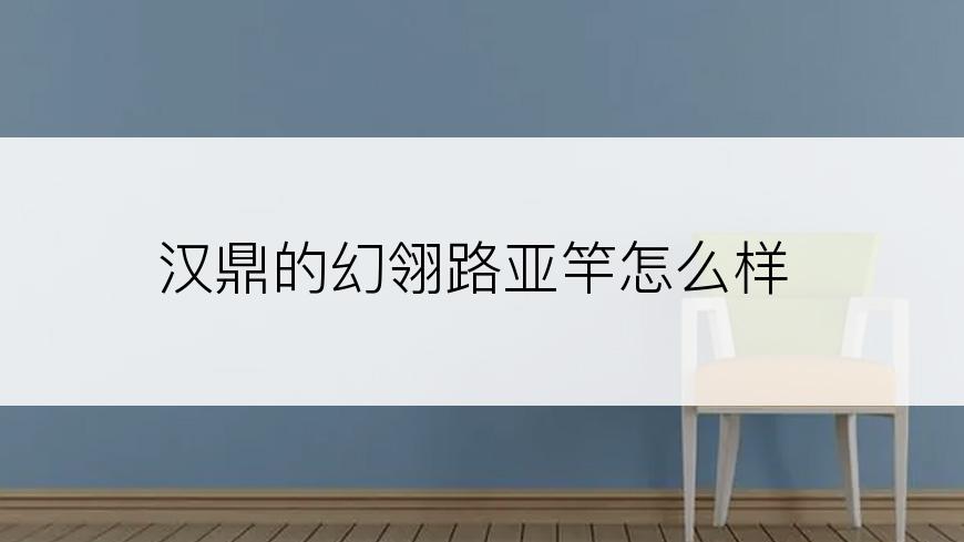 汉鼎的幻翎路亚竿怎么样