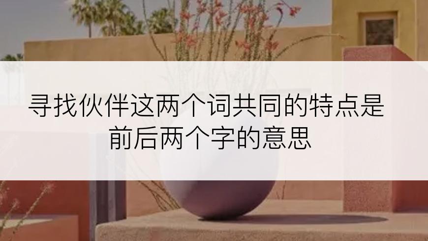 寻找伙伴这两个词共同的特点是前后两个字的意思