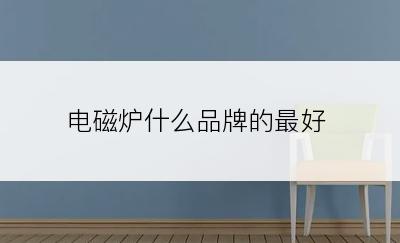 电磁炉什么品牌的最好