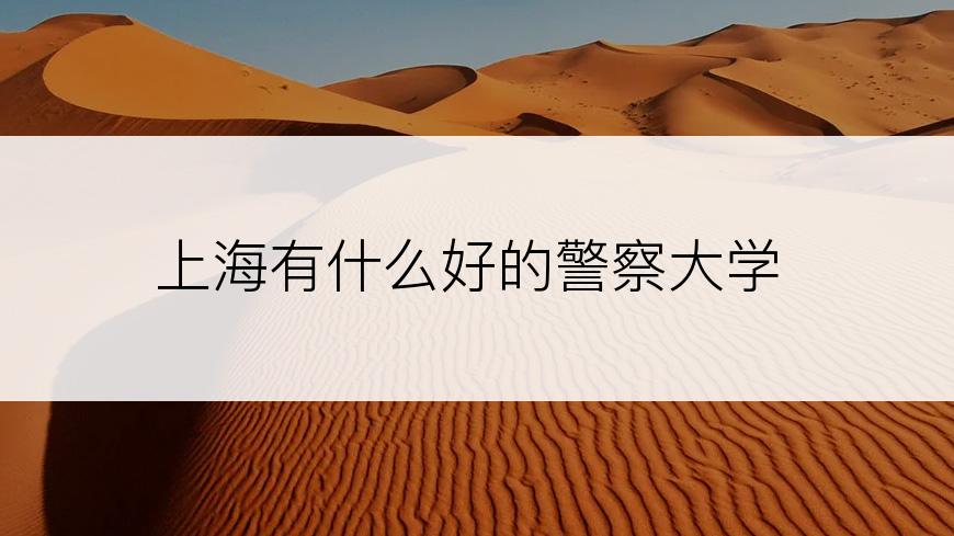 上海有什么好的警察大学