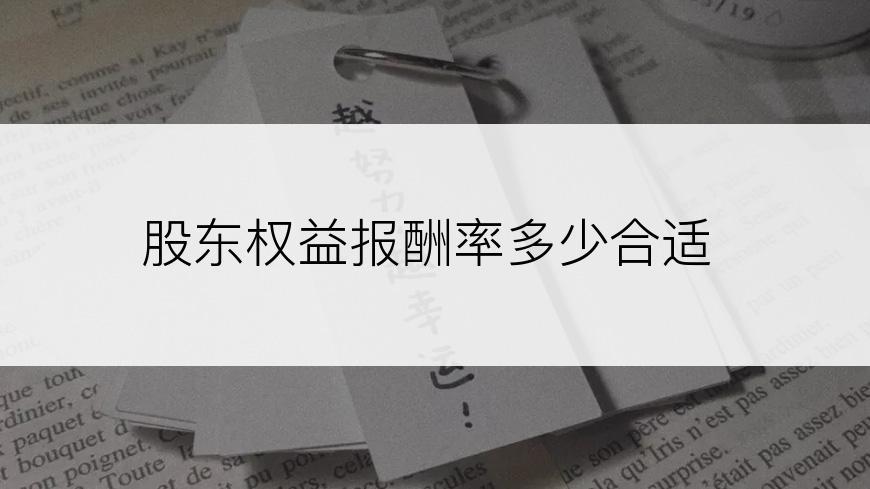 股东权益报酬率多少合适