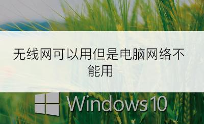 无线网可以用但是电脑网络不能用