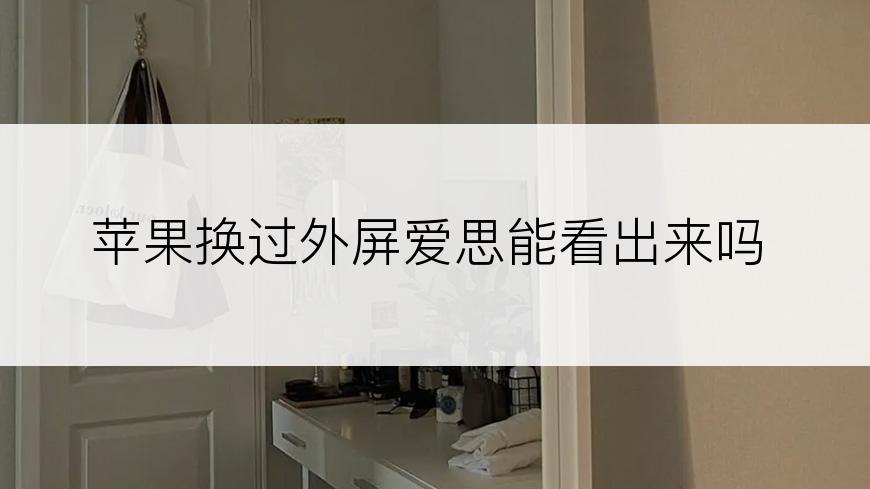 苹果换过外屏爱思能看出来吗
