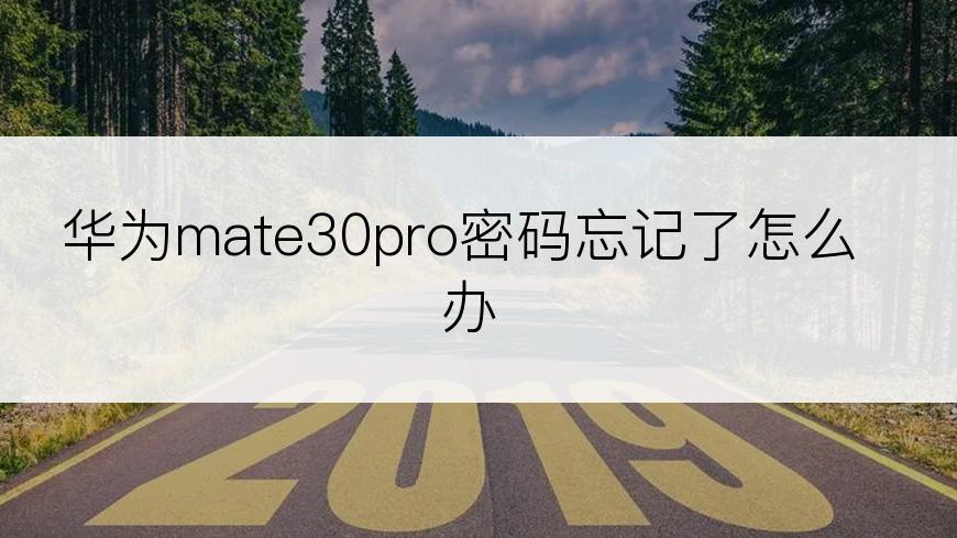 华为mate30pro密码忘记了怎么办